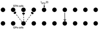 Synchronized Beta-Band Oscillations in a Model of the Globus Pallidus-Subthalamic Nucleus Network under External Input